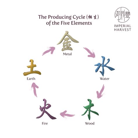 英文 五行|Five Elements (五行) in Chinese Metaphysics